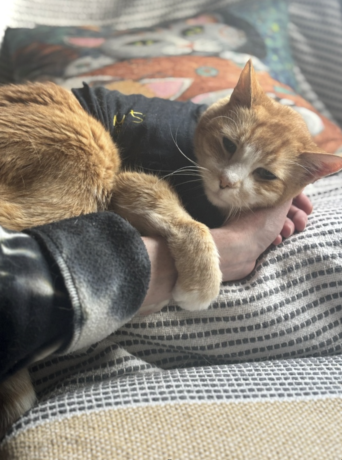 Screenshot 2025-11-03 at 1.08.38 PM